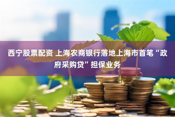 西宁股票配资 上海农商银行落地上海市首笔“政府采购贷”担保业务
